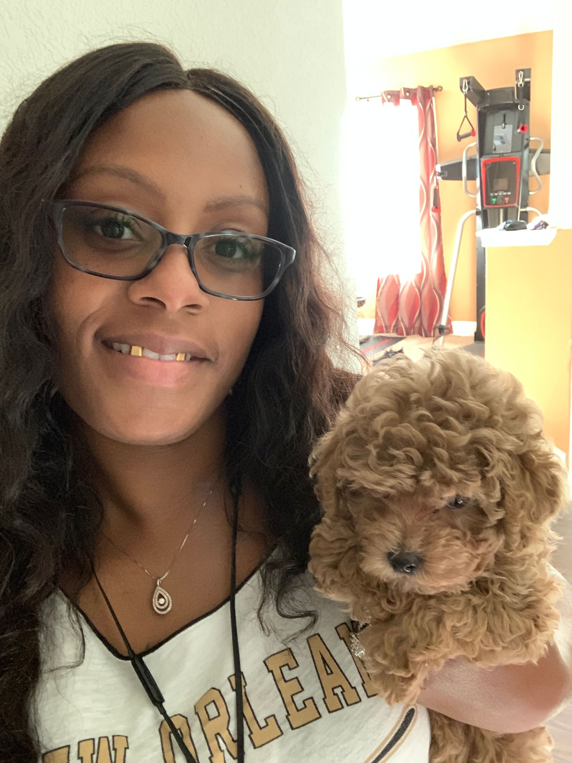 Cavapoo Pup Being Cute