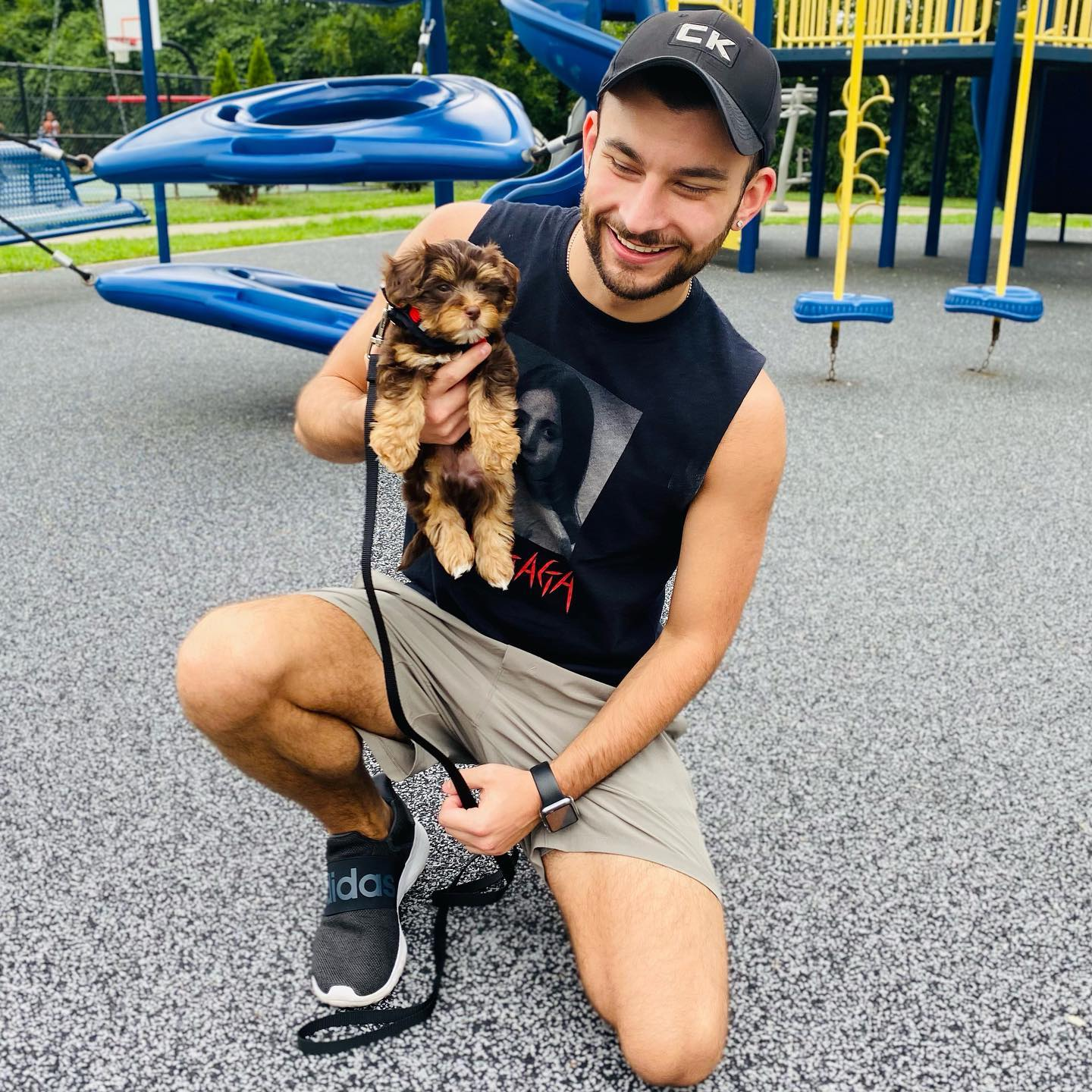Yorkie Poo Puppy for Adoption