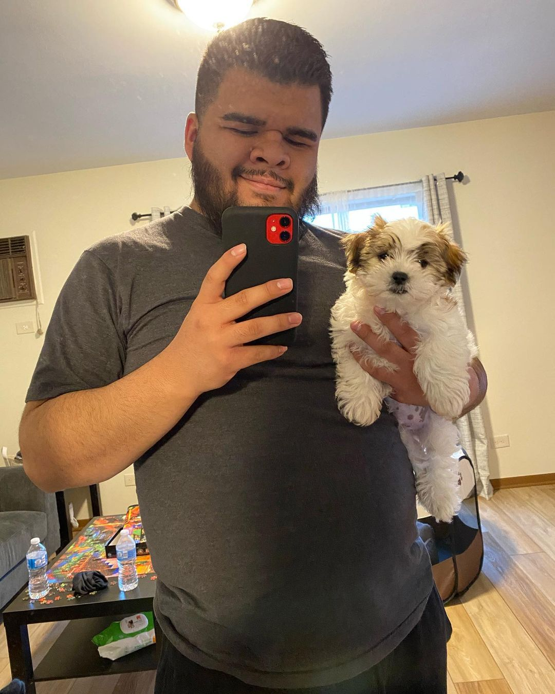 Teddy Bear Pup Being Cute