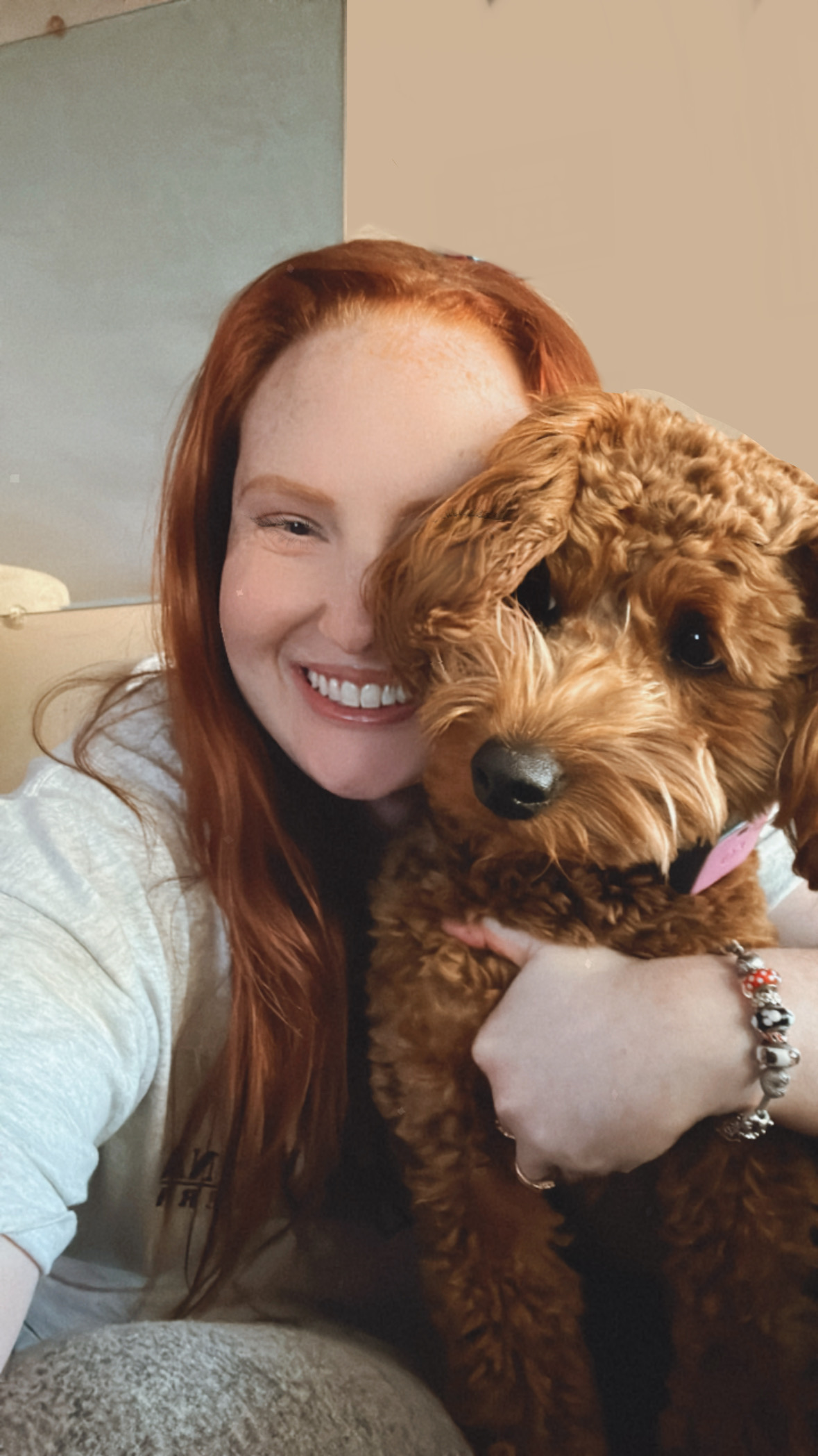 Mini Goldendoodle Pup Being Cute