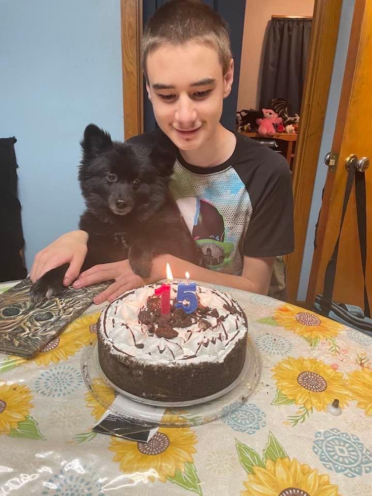 Friendly Pomeranian Pup