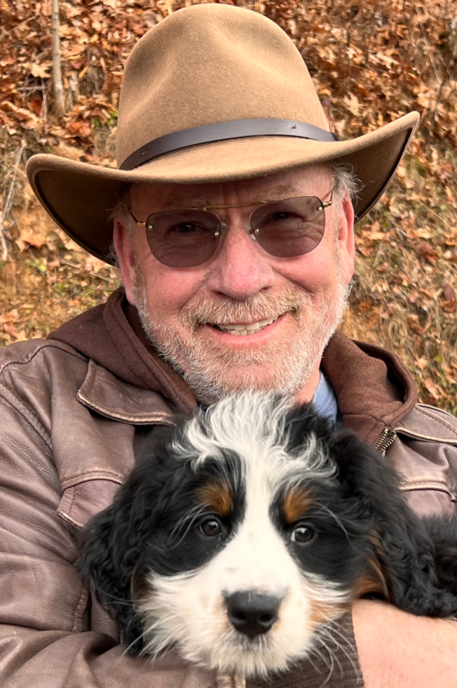 Mini Bernedoodle Pup