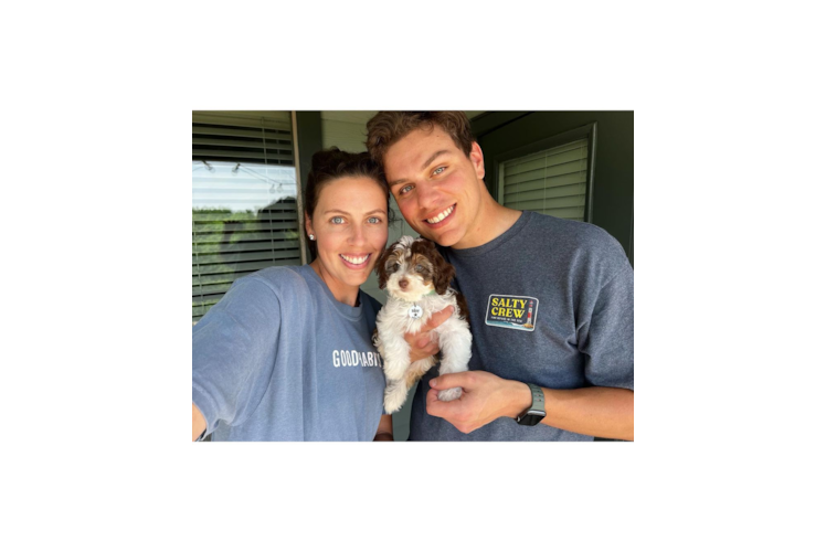 Best Mini Aussiedoodle Baby