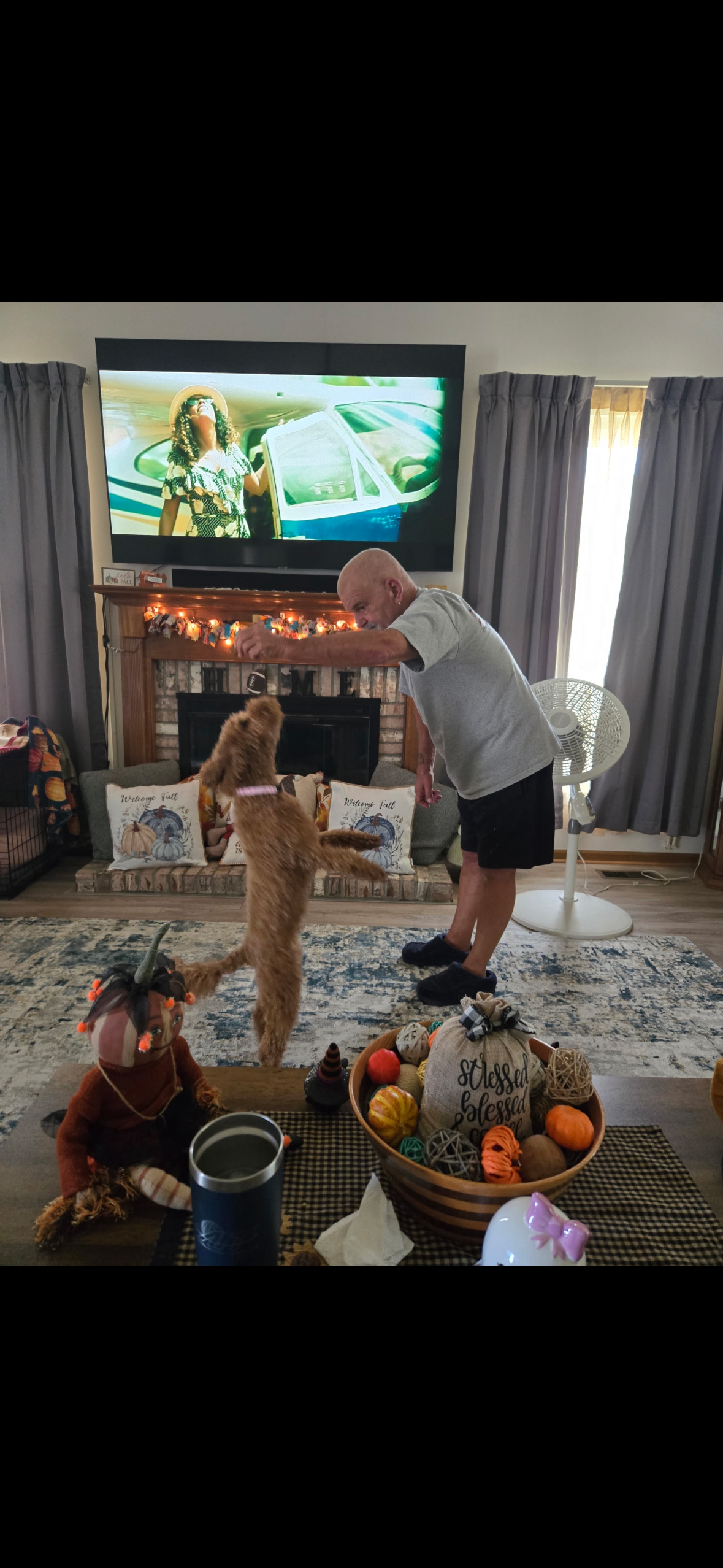 Best Mini Goldendoodle Baby