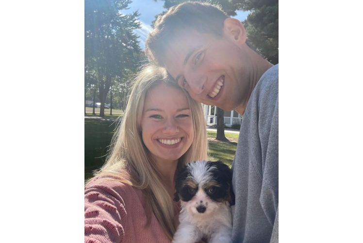 Hypoallergenic Cavalier Designer Puppy