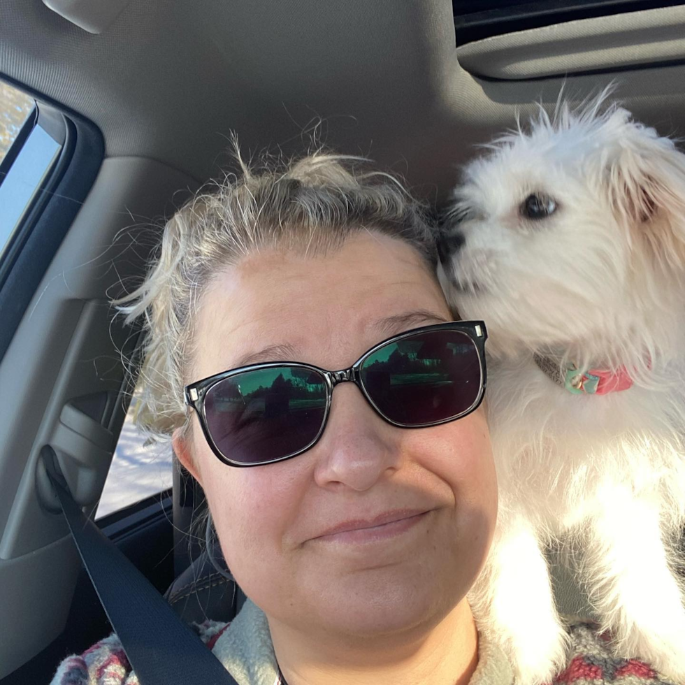 Smart Teddy Bear Designer Pup