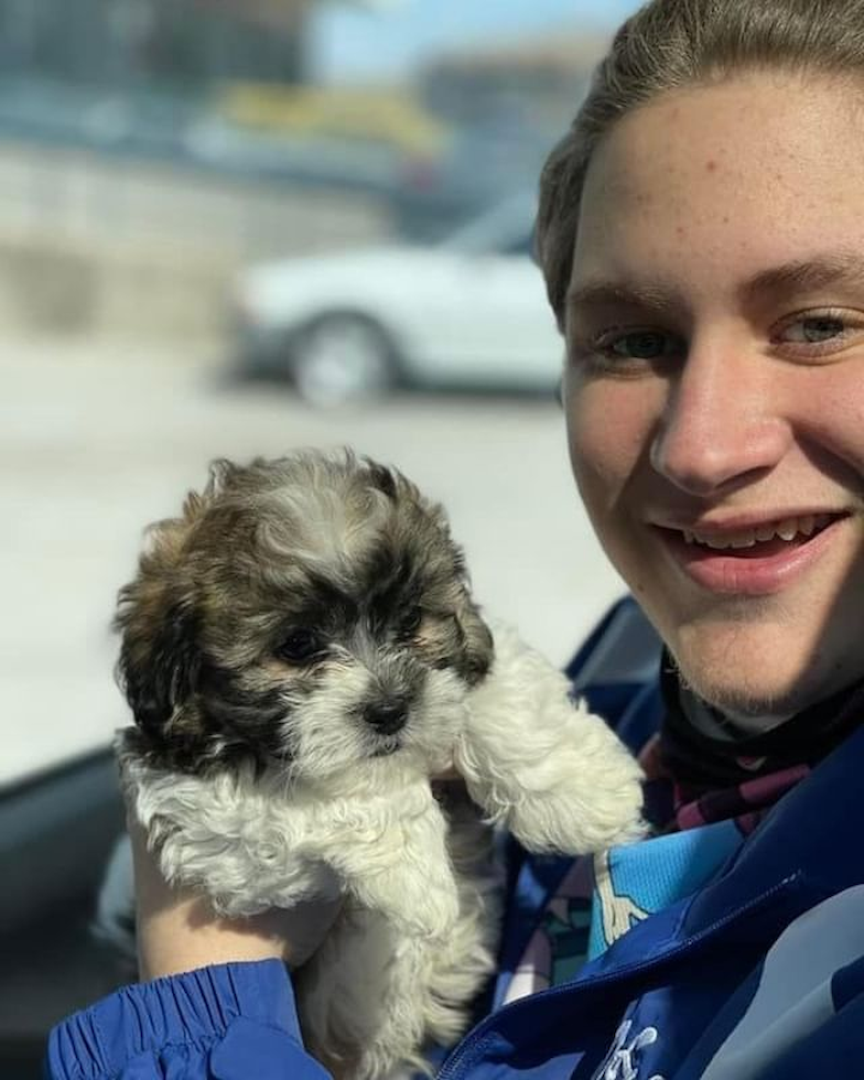 Teddy Bear Being Cute