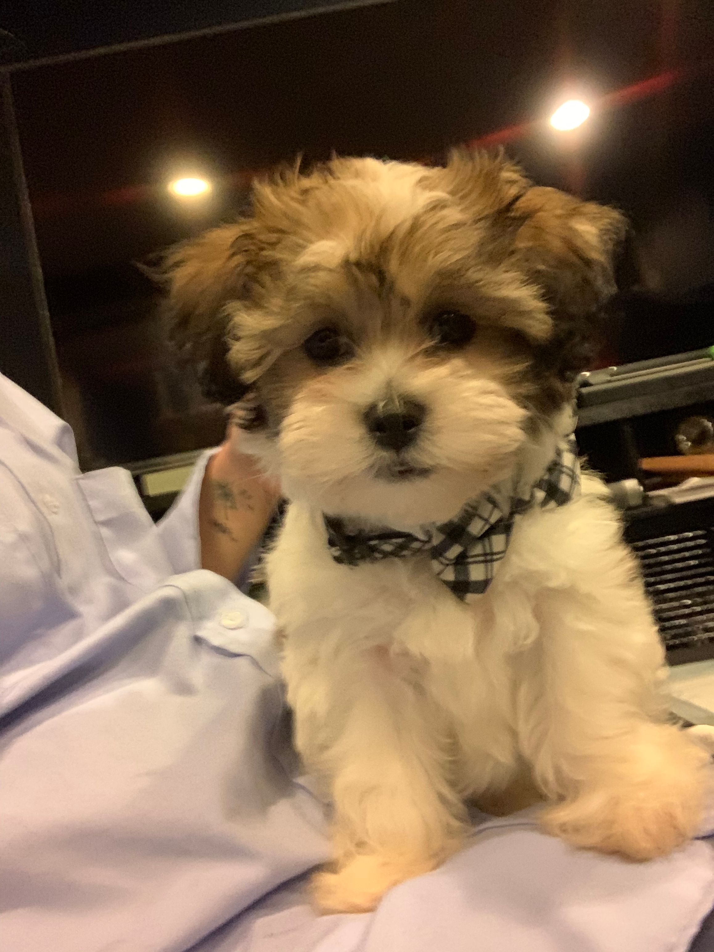 Best Teddy Bear Baby