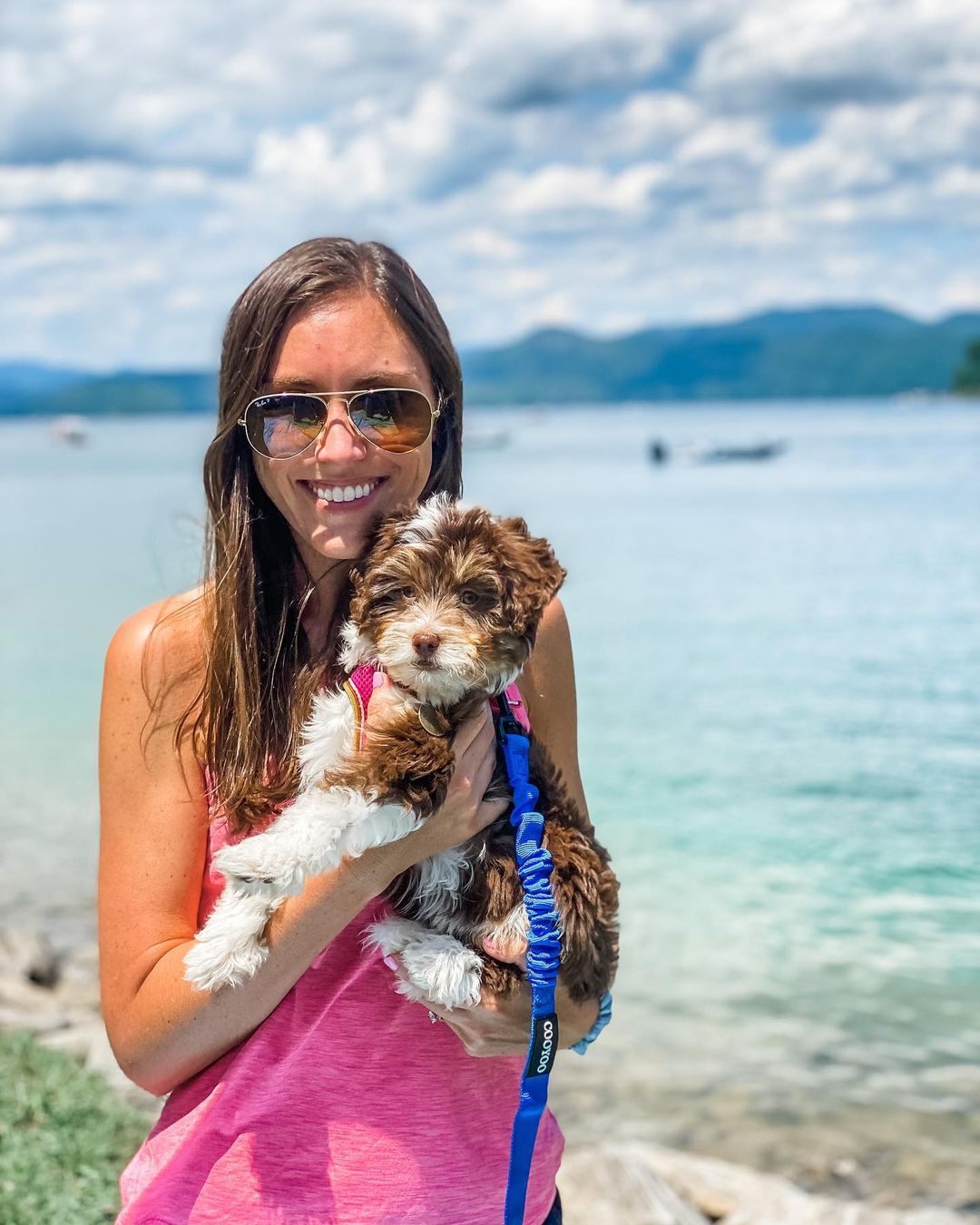 Popular Mini Aussiedoodle Poodle Mix Pup