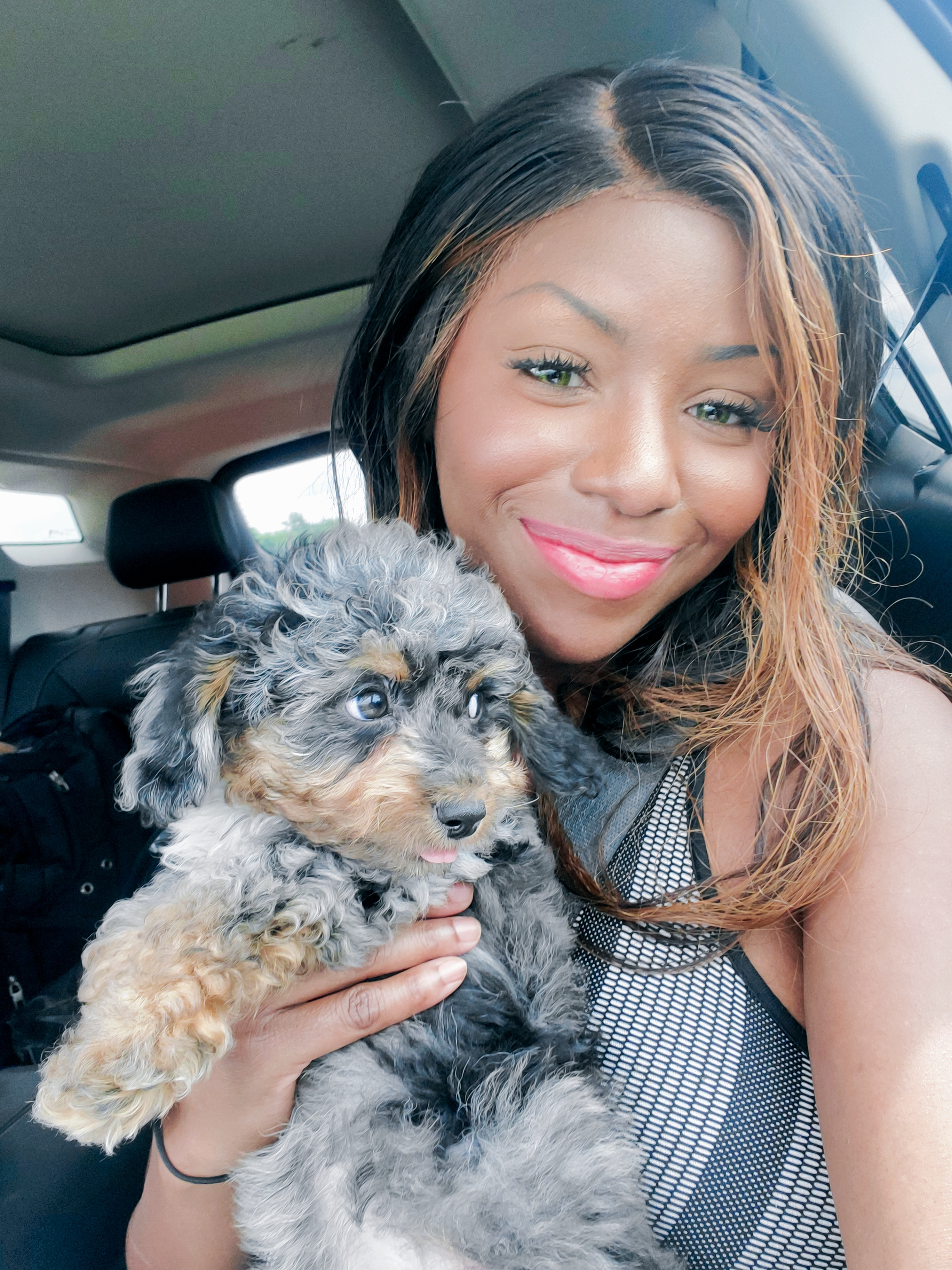 Best Mini Goldendoodle Baby