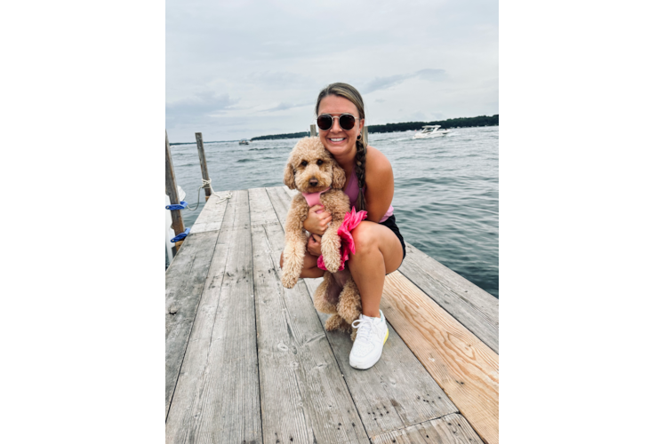 Hypoallergenic Golden Retriever Poodle Mix Puppy