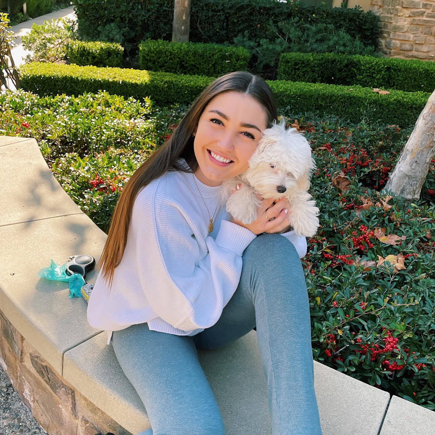 Maltipoo Puppy for Adoption