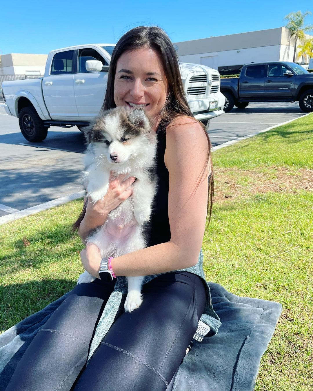 Cute Pomsky Baby