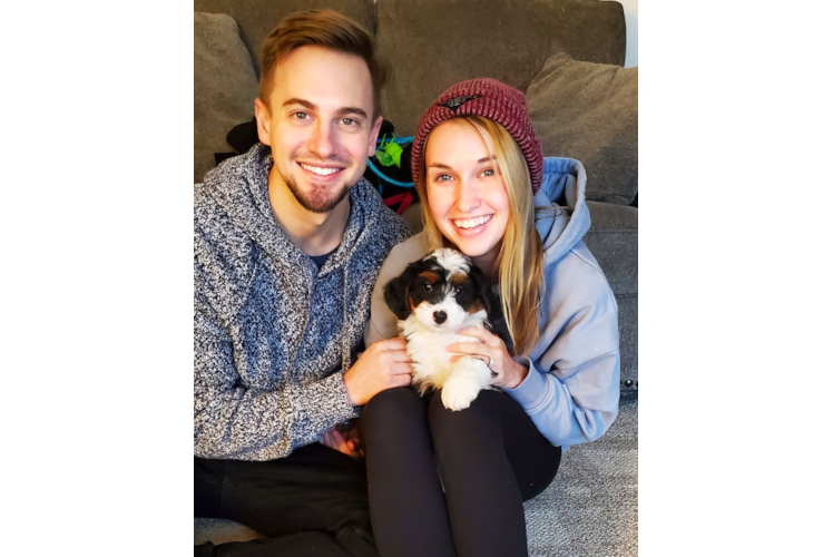 Best Mini Bernedoodle Baby