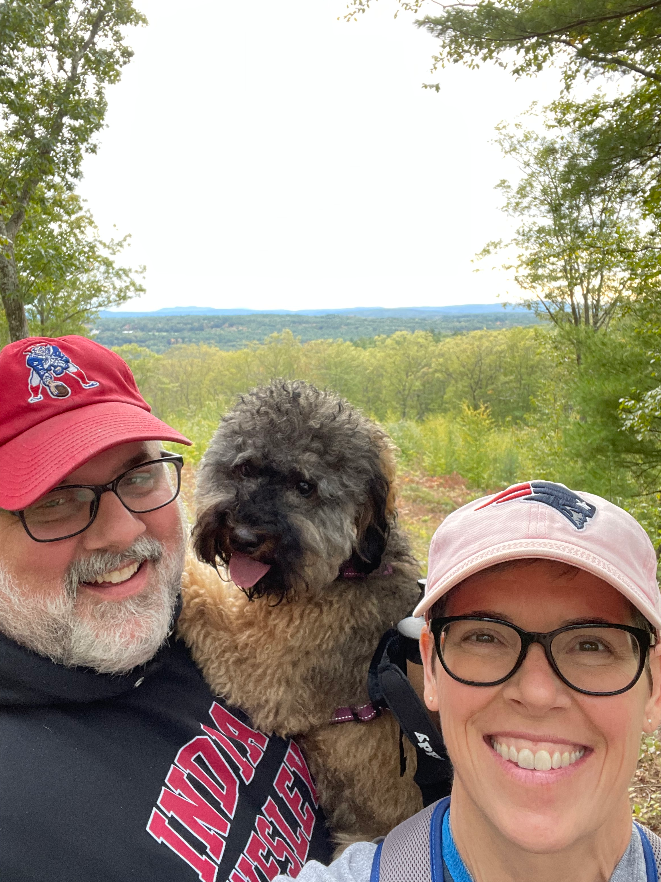 Fluffy Mini Bernedoodle Poodle Mix Pup