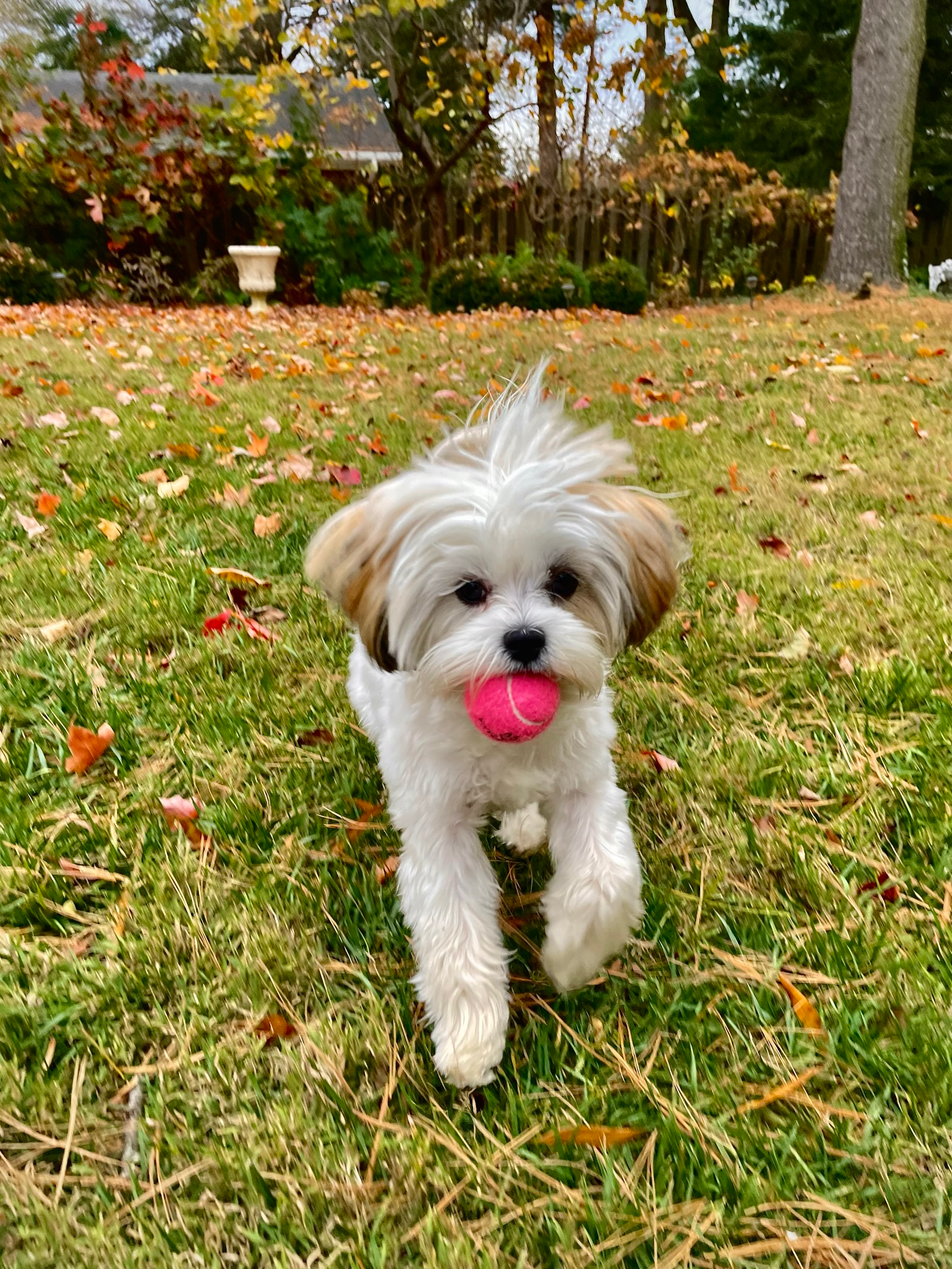 Small Teddy Bear Baby