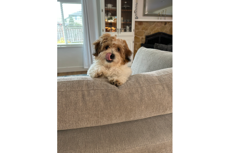 Best Teddy Bear Baby