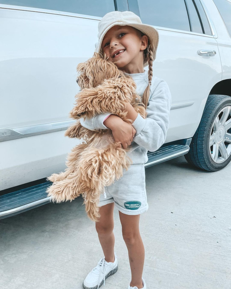 Playful Maltese Poodle Poodle Mix Pup