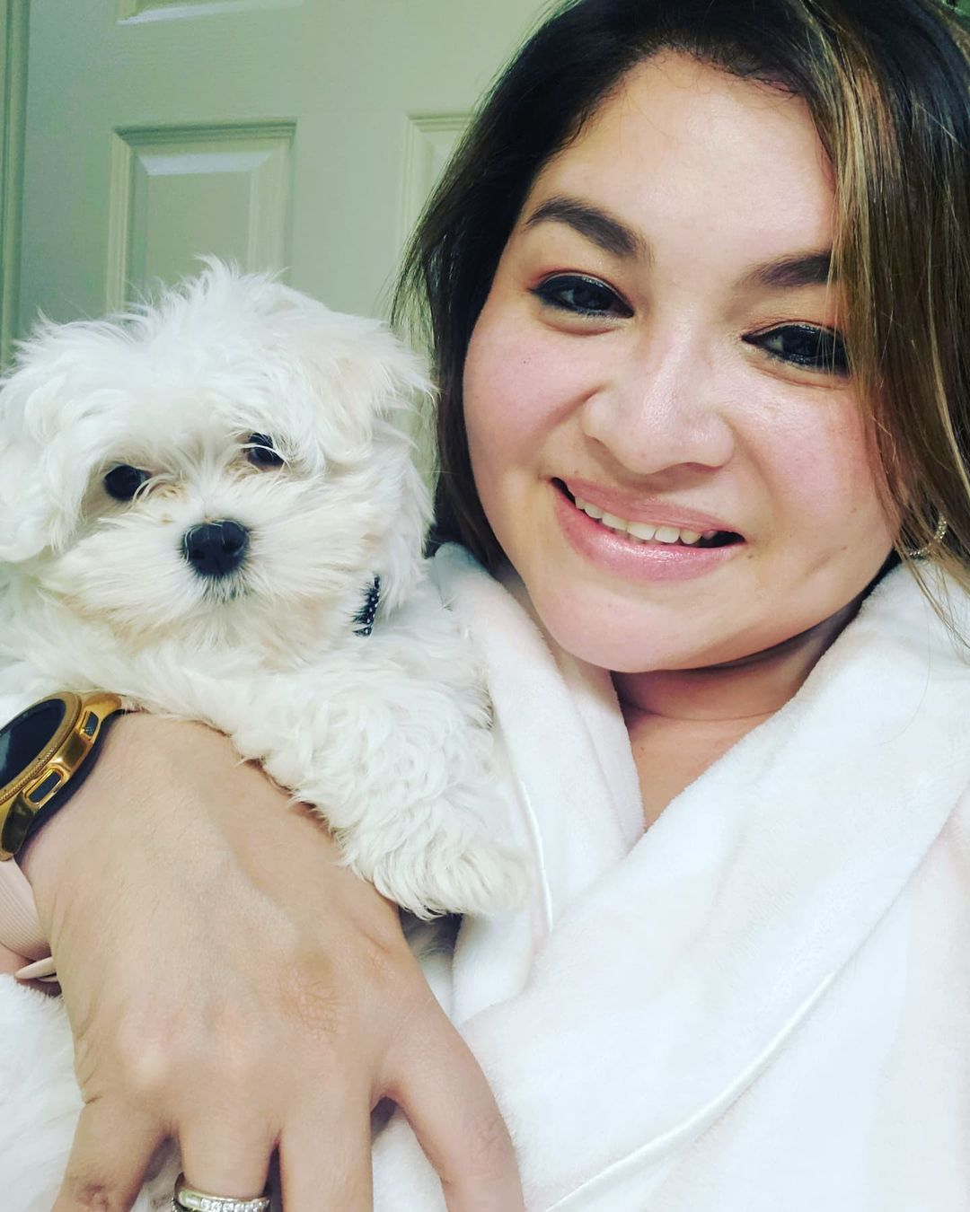 Maltese Puppy for Adoption