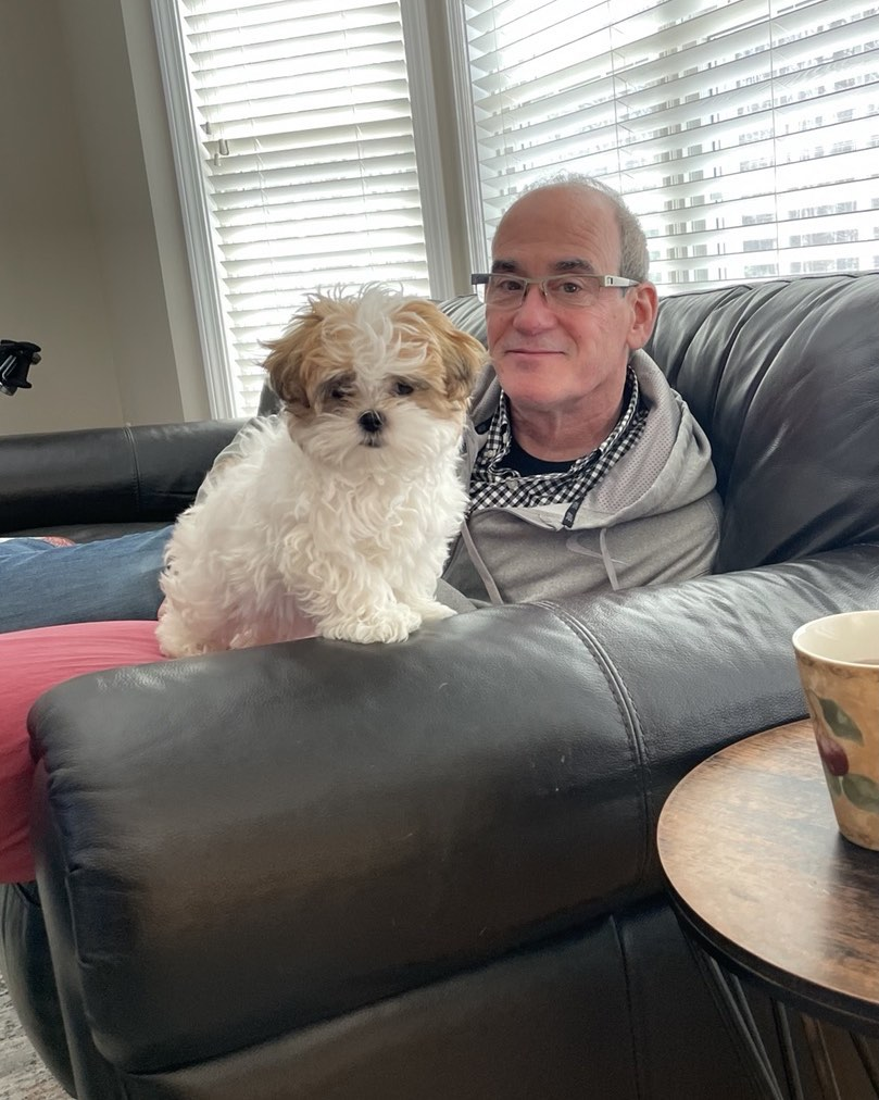 Fluffy Teddy Bear Designer Pup