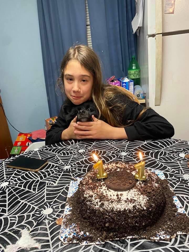 Sweet Pomeranian Purebred Pup