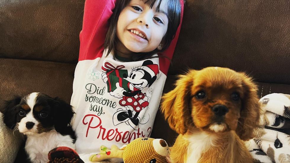 Las Vegas Cavalier King Charles Spaniel Pup