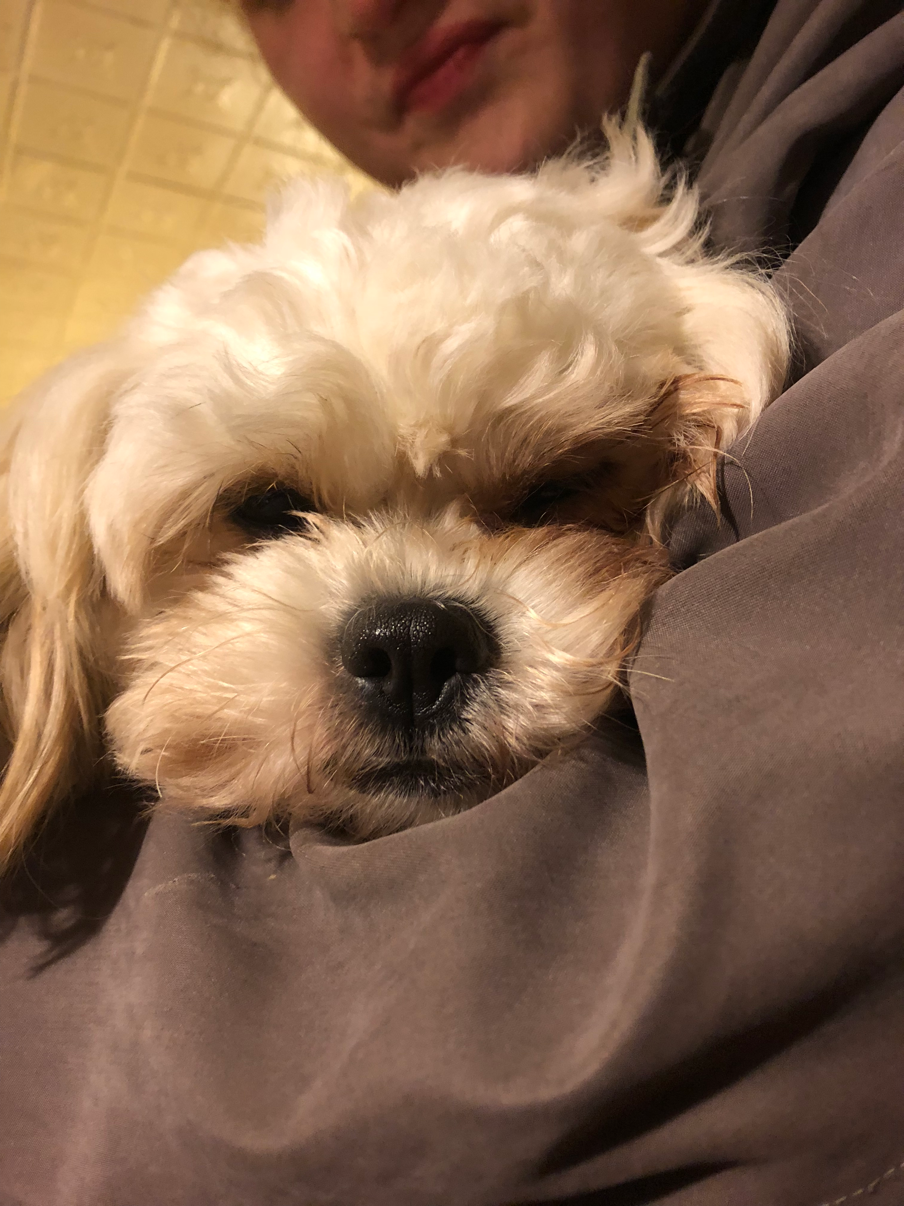 Best Teddy Bear Baby