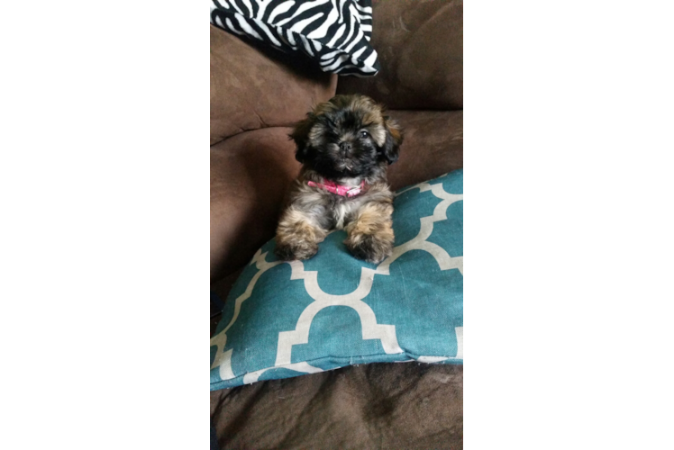 Happy Teddy Bear Baby