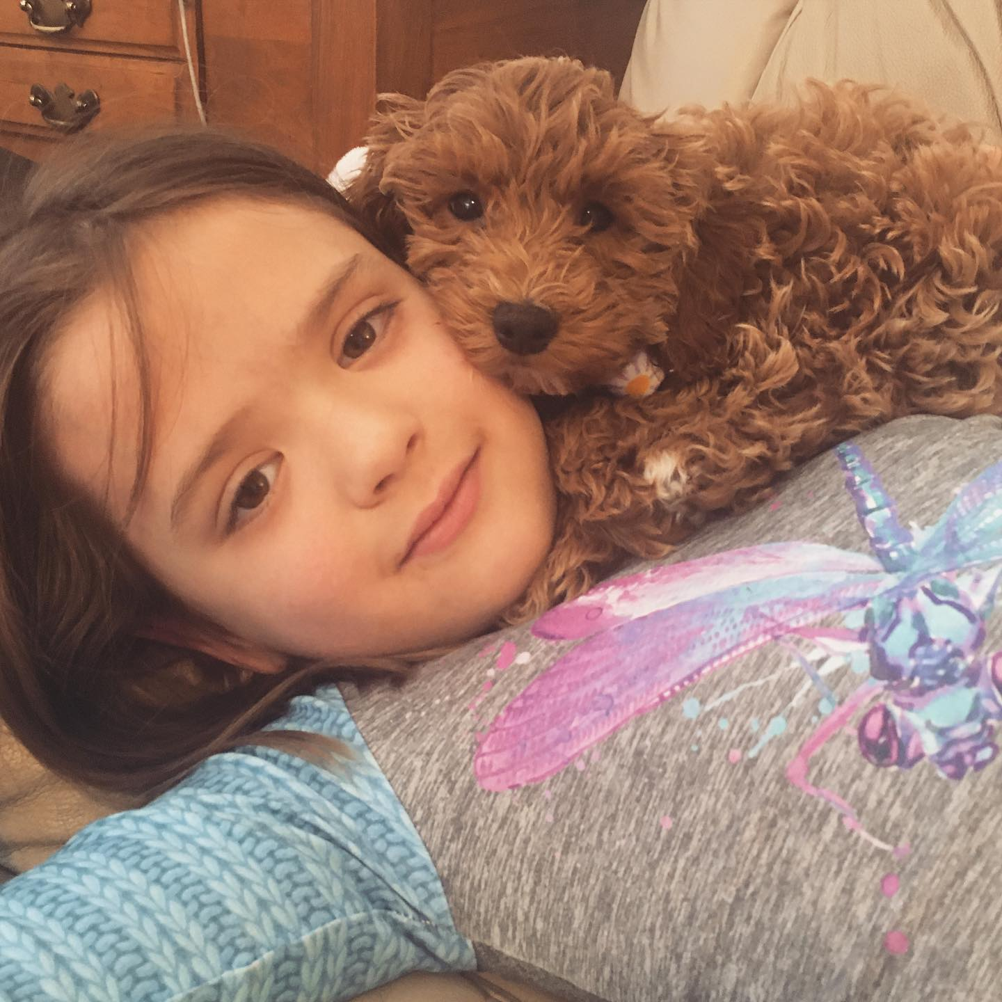 Best Cockapoo Baby