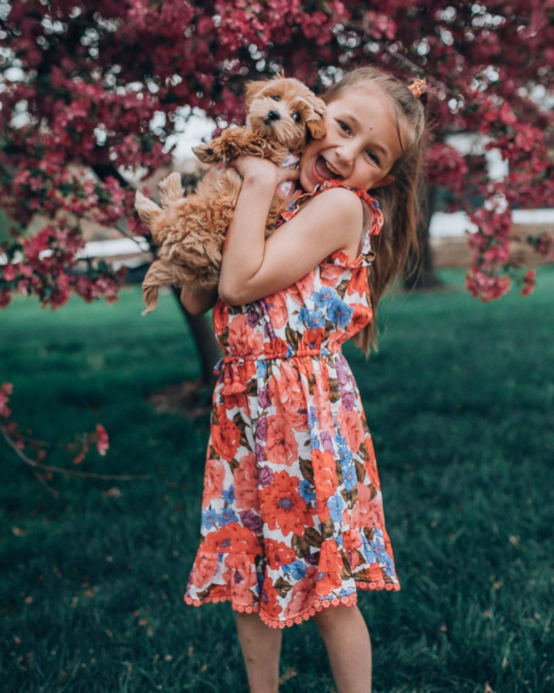 Sweet Maltipoo Pup in Overland Park KS