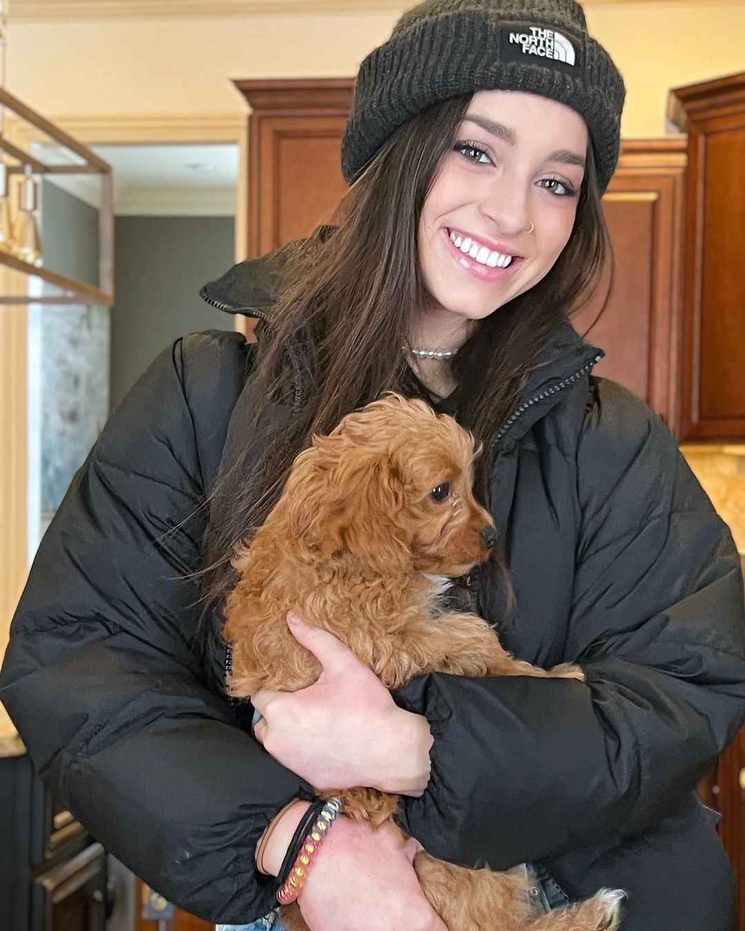 Cute Cavapoo Baby