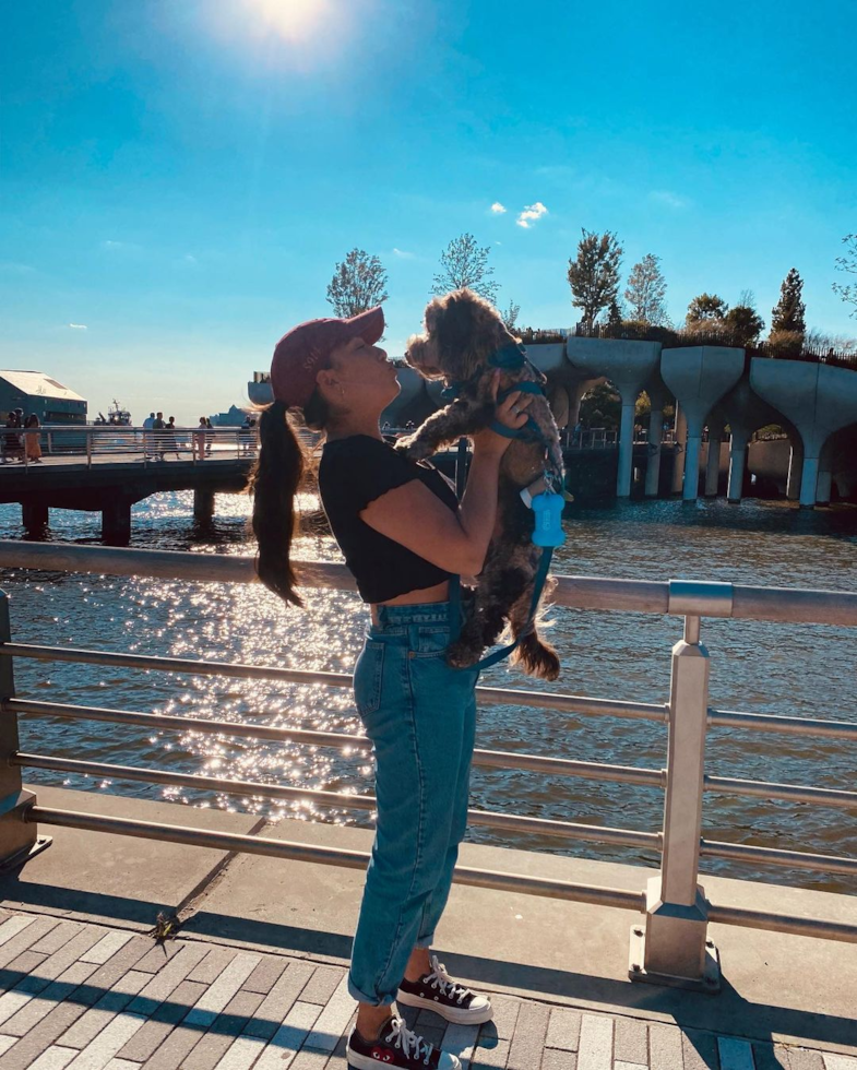 Small Cockapoo Pup in Staten Island NY