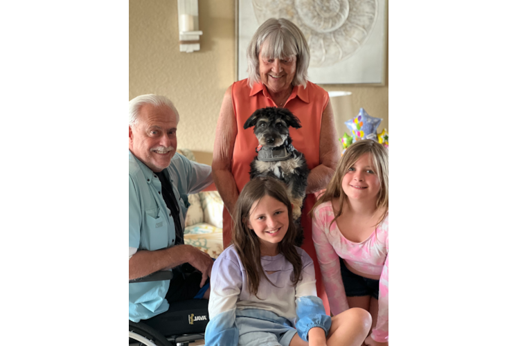 Funny Mini Aussiedoodle Poodle Mix Pup