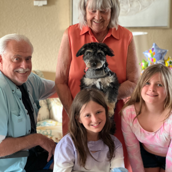 Playful Aussiepoo Poodle Mix Pup