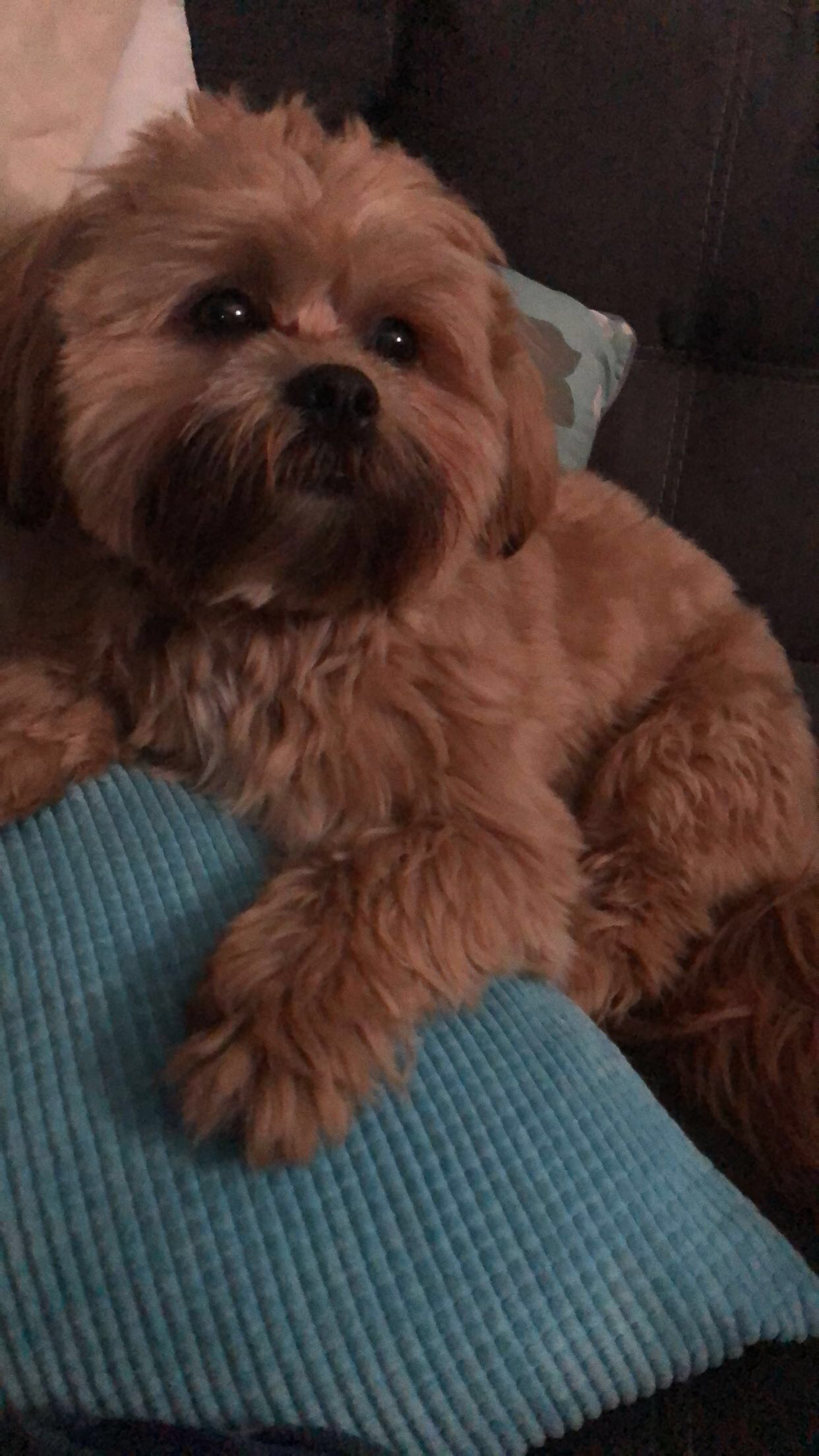 Friendly Teddy Bear Baby