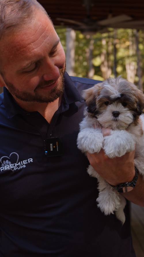 Premier Pups Here’s what makes the Premier Pups journey special! Trending Video