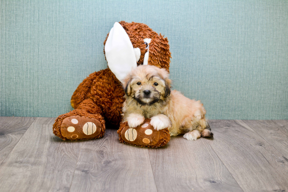 Happy Teddy Bear Baby