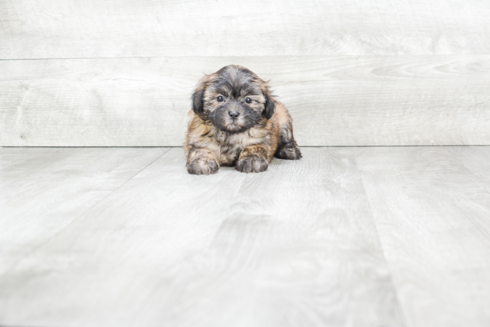 Best Teddy Bear Baby