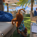 Puppy For Sale Premier Pups Puppy For Sale Premier Pups