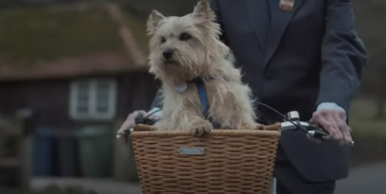 A Journey of Love and Friendship: The Emotional Rollercoaster of Lewis Capaldi's