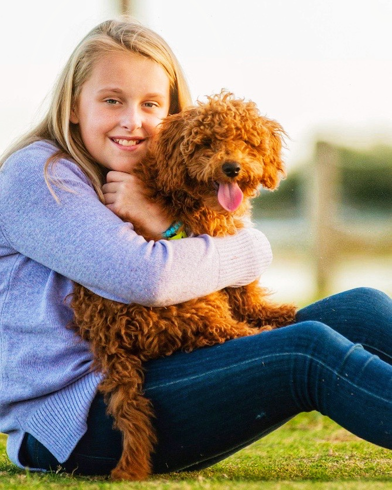  Puppy For Sale Premier Pups