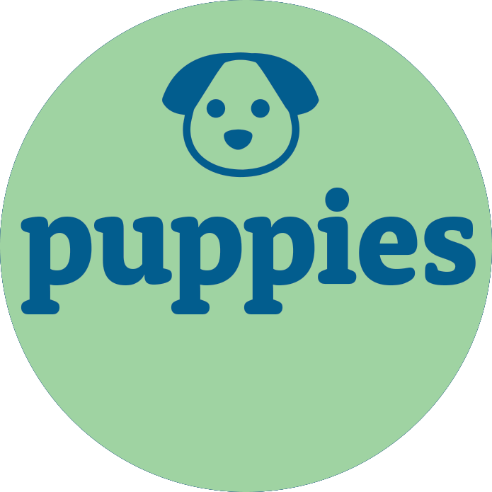 View All Puppies For Sale - Premier Pups