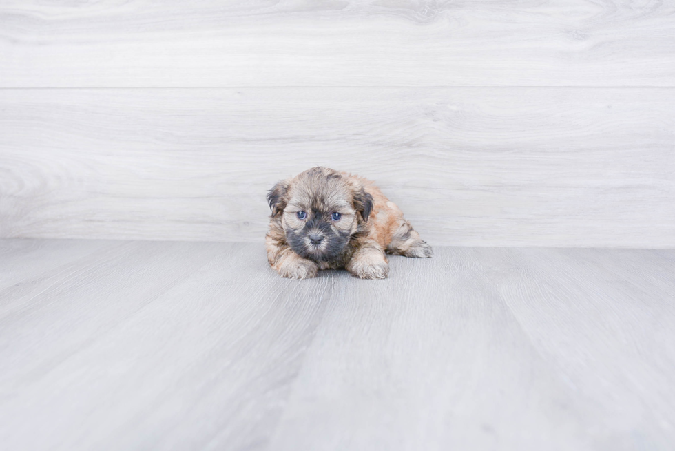 Friendly Teddy Bear Baby