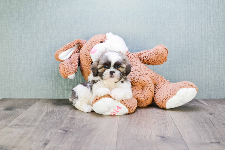 Best Teddy Bear Baby