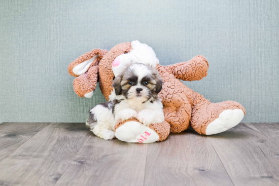 Best Teddy Bear Baby