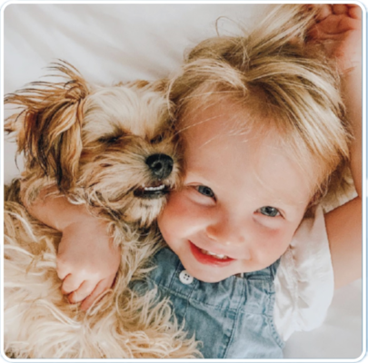 How Is Premier Pups Different from Other Online Puppy-Selling Businesses? 