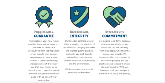 Is Premier Pups a Puppy Broker? Here's What You Need to Know