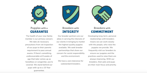 Is Premier Pups a Puppy Broker? Here's What You Need to Know