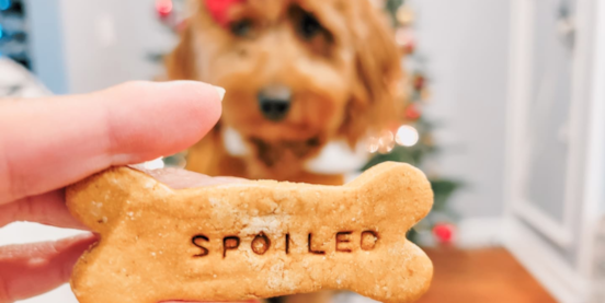 Goldendoodle Diet: Best Food For Mini Goldendoodles 