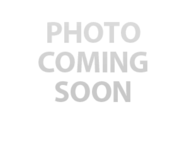 1 week old Cavachon Puppy For Sale - Premier Pups